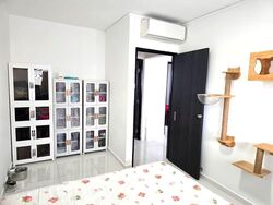 Blk 489A Tampines Street 45 (Tampines), HDB 4 Rooms #574420641